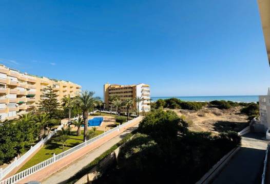 Apartment - Begagnat - La Mata - La Mata