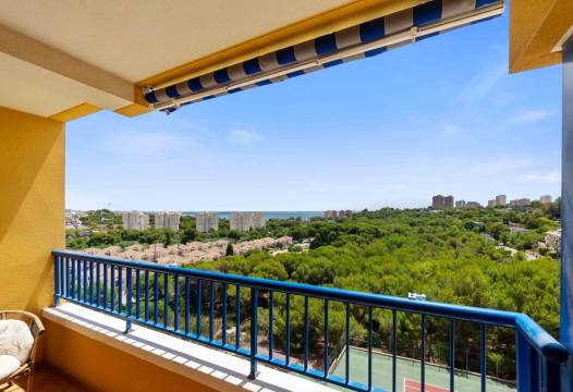 Apartment - Begagnat - Orihuela Costa - Campoamor