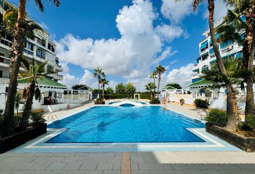 Apartment - Gebraucht - La Mata - Los Europeos