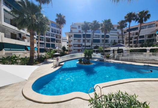 Apartment - Sale - La Mata - Los Europeos