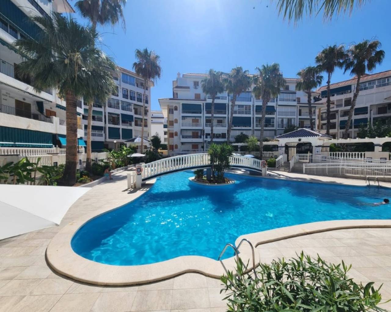 Apartment · Sale · La Mata · Los Europeos