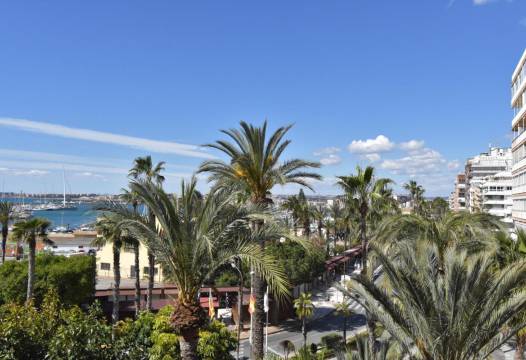 Apartment - Sale - Torrevieja - NHKP2196