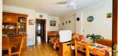 Begagnat - Apartment - La Mata