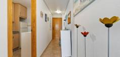 Begagnat - Apartment - Orihuela Costa - Campoamor