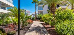 Begagnat - Apartment - Orihuela Costa - Los Dolses