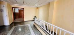 Begagnat - Apartment - Torrevieja - Centro