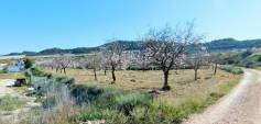Begagnat - Finca - Torremendo