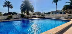 Begagnat - Ground Floor - Orihuela Costa - La Zenia