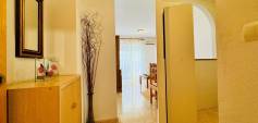 Brukt - Apartment - La Mata