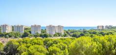 Brukt - Apartment - Orihuela Costa - Campoamor