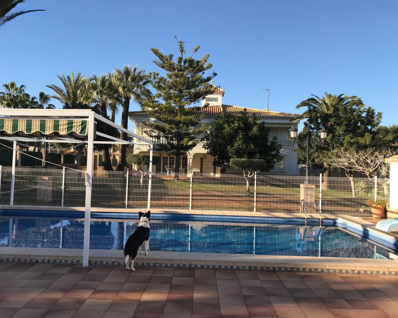 Detached house · Sale · Cabo Roig · Cabo Roig