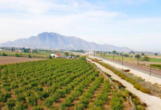 Finca - Revente - Callosa De Segura - Callosa De Segura