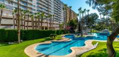 Gebraucht - Apartment - Orihuela Costa - Altos de Campoamor