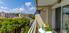 Gebraucht - Apartment - Orihuela - Zona Centro