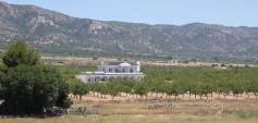 Neubau - Villa - Pinoso - Costa Blanca South - Inland