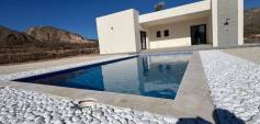 New Build - Villa - Jumilla - Costa Calida - Inland