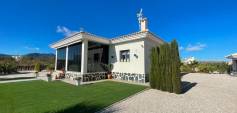 New Build - Villa - Pinoso - Camino Del Prado