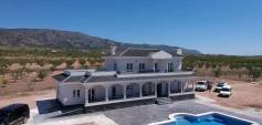 New Build - Villa - Pinoso - Camino Del Prado