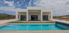 New Build - Villa - Pinoso - Campo