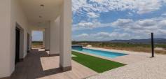 New Build - Villa - Pinoso - Campo