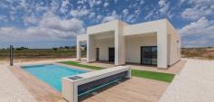 New Build - Villa - Pinoso - Campo