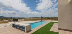 New Build - Villa - Pinoso - Campo