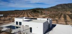 New Build - Villa - Pinoso - Campo