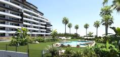 Nueva construcción  - Apartment - San Miguel de Salinas - Pueblo