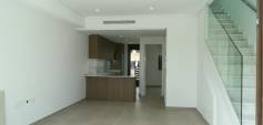 Nueva construcción  - Casa de pueblo - Pilar de la Horadada - parque Andromeda