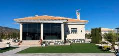 Nueva construcción  - Villa - Pinoso - Costa Blanca South - Inland