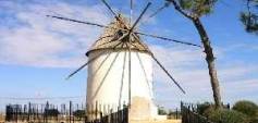 Nueva construcción  - Villa - Torre Pacheco - Torre-pacheco
