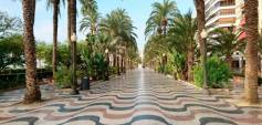 Nybyggnasjon - Apartment - Alicante - Benalua