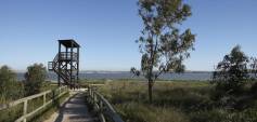 Nybyggnasjon - Bungalow - Torrevieja - Altos del Sol