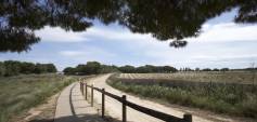 Nybyggnasjon - Bungalow - Torrevieja - Altos del Sol