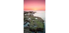 Nybyggnasjon - Bungalow - Torrevieja - Altos del Sol