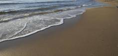 Nybyggnasjon - Bungalow - Torrevieja - Altos del Sol