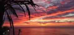 Nybyggnasjon - Bungalow - Torrevieja - Altos del Sol