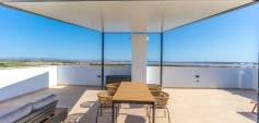 Nybyggnasjon - Bungalow - Torrevieja - Los balcones