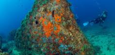 Nybyggnasjon - Toppleilighet - Aguilas - Isla del fraile