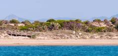 Nybyggnasjon - Toppleilighet - Guardamar del Segura - Pueblo