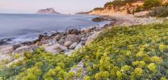 Nybyggnasjon - Villa - Benissa - Cala Advocat