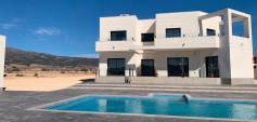 Nybyggnasjon - Villa - Pinoso - Costa Blanca South - Inland