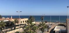 Nybyggnasjon - Villa - Torrevieja - Costa Blanca South