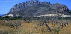 Nybyggnation - Apartment - El Verger