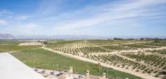 Nybyggnation - Villa - Algorfa - La finca golf