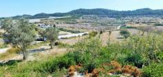Revente - Finca - Torremendo
