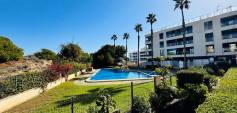 Sale - Apartment - La Mata