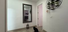 Sale - Apartment - Torrevieja - Centro
