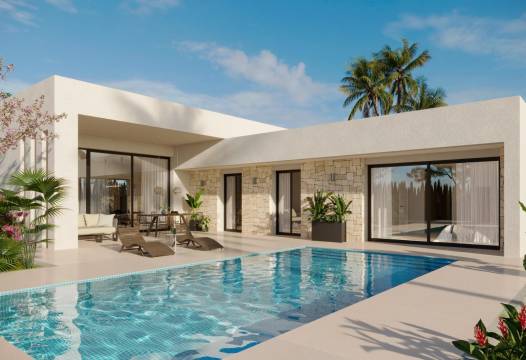 Villa - Nueva construcción  - Aspe - Poligono 19