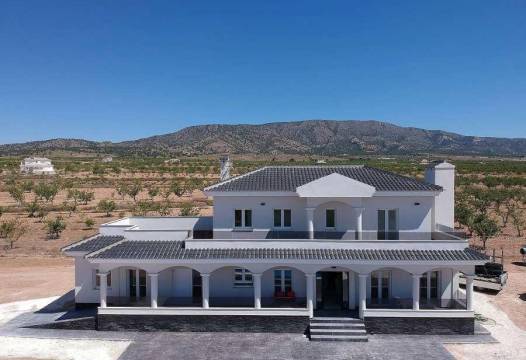 Villa - Nueva construcción  - Pinoso - Costa Blanca South - Inland